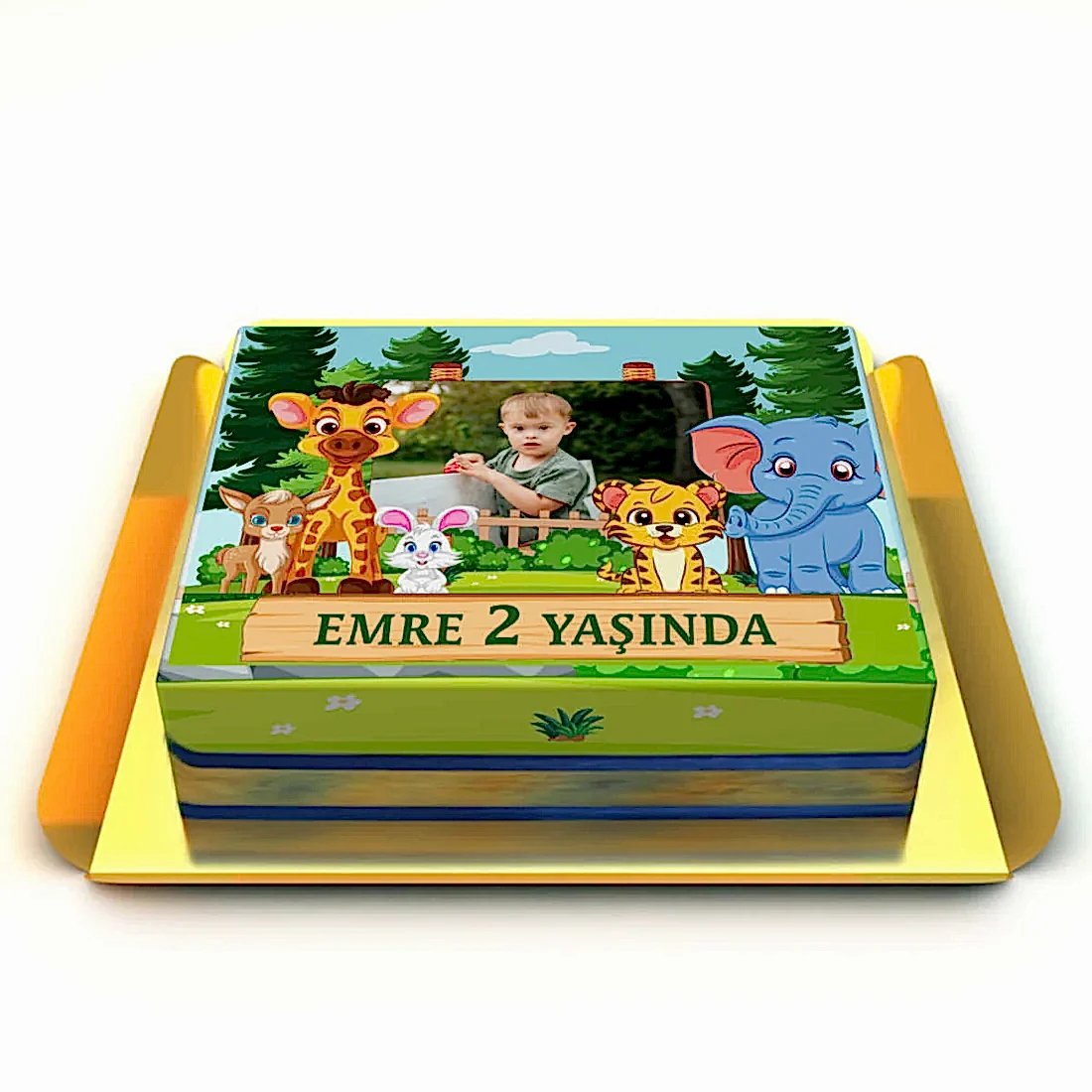 Kişiye Özel Safari Pastası