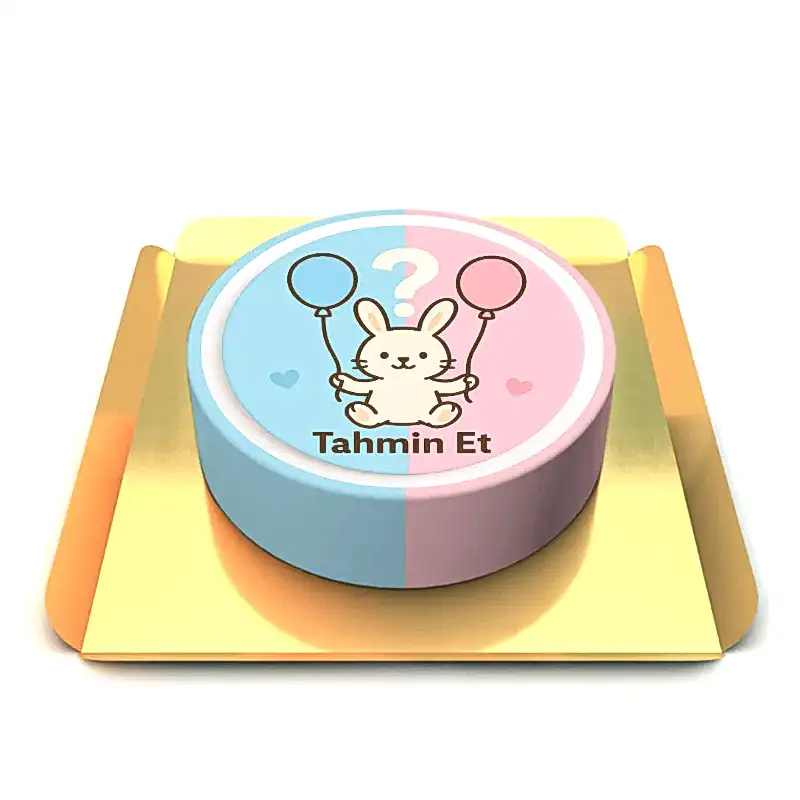 Bebek Cinsiyet Parti Pastası