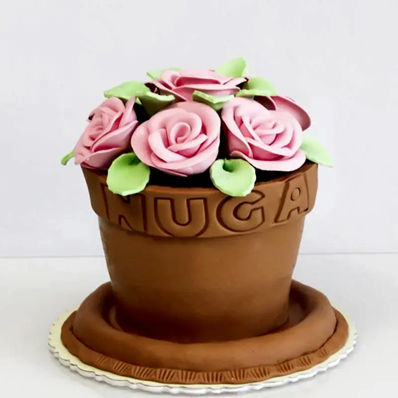 Saksıda Güllü Pasta