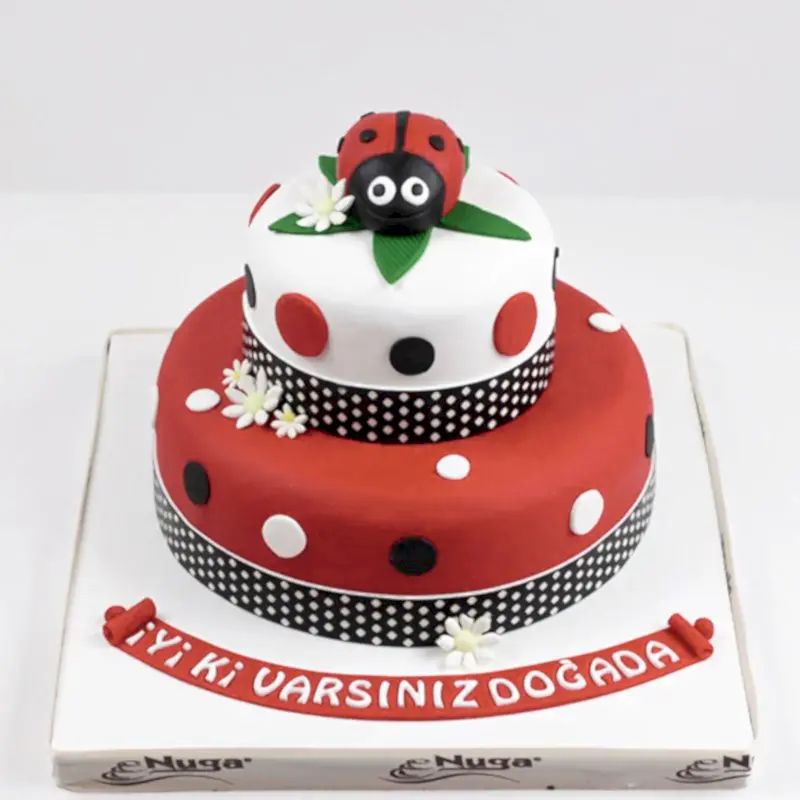 Uğur Böceğim Doğum Günü Pastası